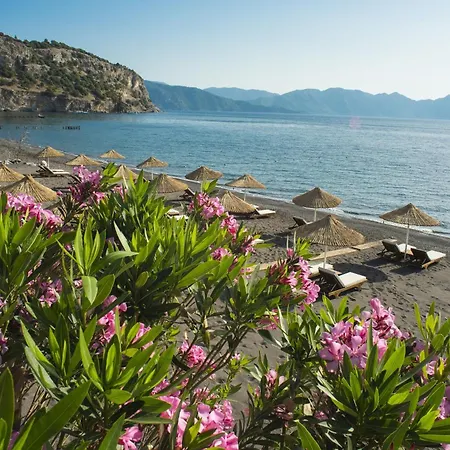 Igde, Florya *